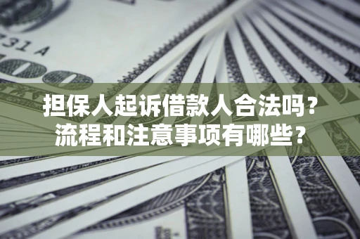 武汉担保人起诉借款人合法吗？流程和注意事项有哪些？