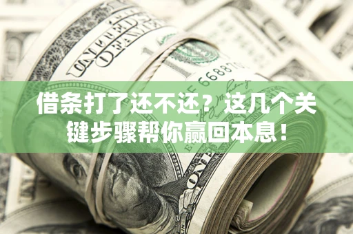 武汉借条打了还不还？这几个关键步骤帮你赢回本息！