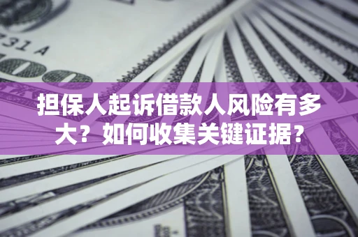 武汉担保人起诉借款人风险有多大？如何收集关键证据？
