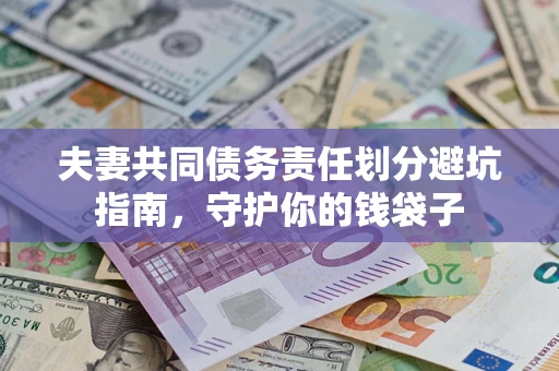 武汉夫妻共同债务责任划分避坑指南，守护你的钱袋子