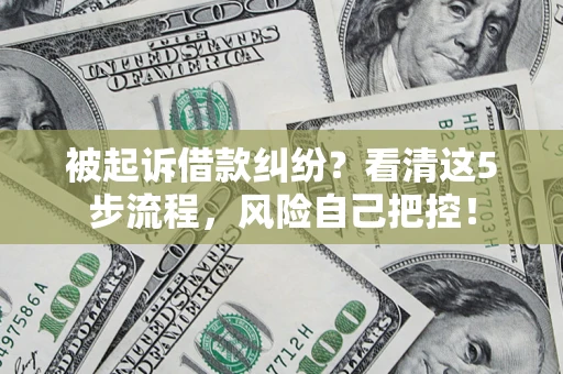 武汉被起诉借款纠纷？看清这5步流程，风险自己把控！