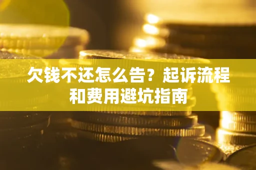武汉欠钱不还怎么告？起诉流程和费用避坑指南